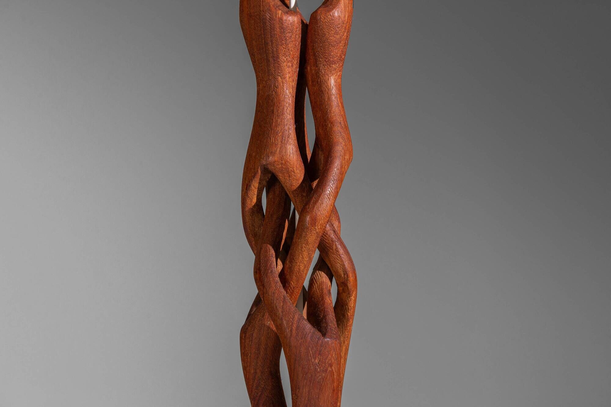Organic form sculptural teak table lamp