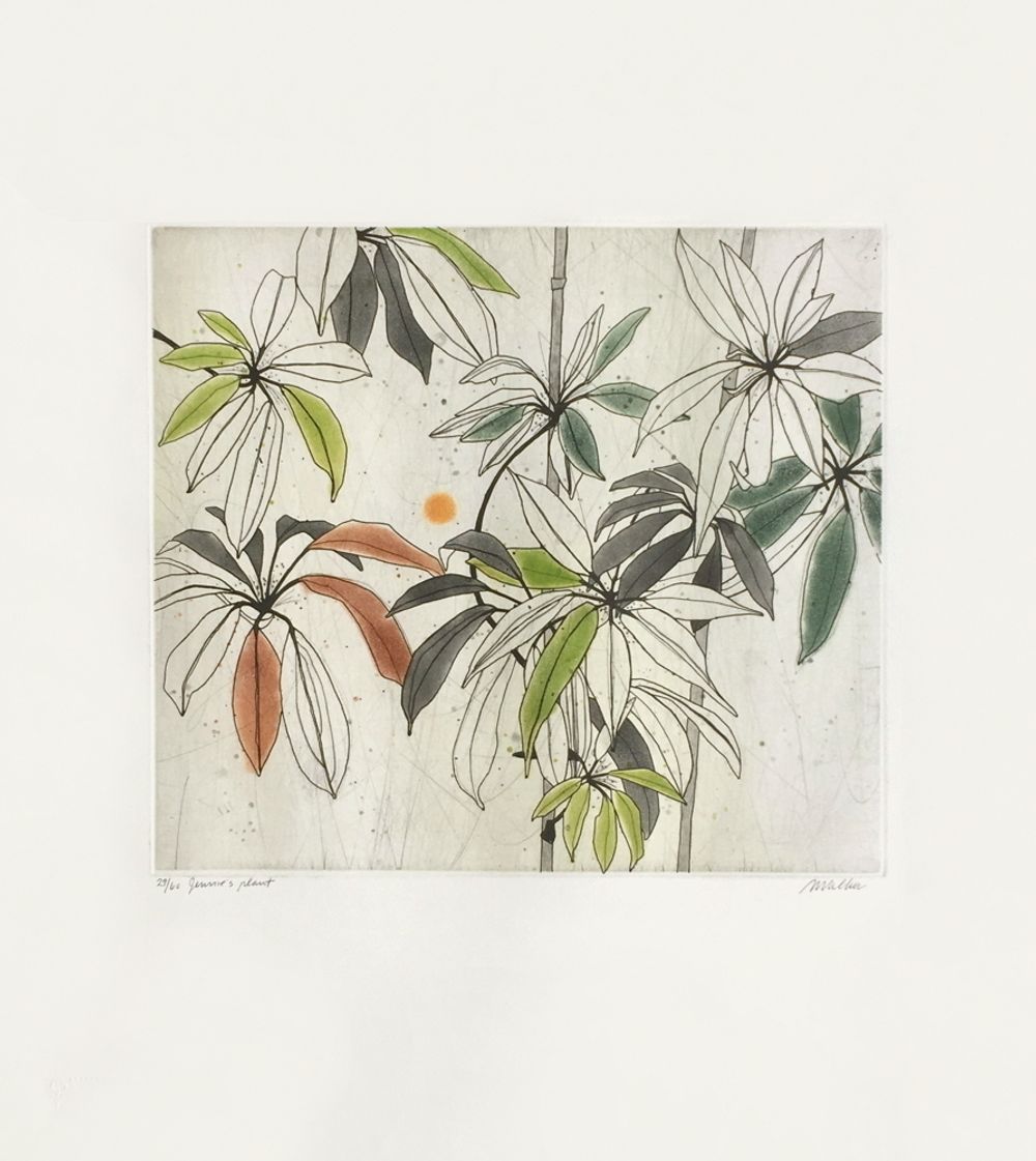 Anne walker jennie's plant engraving