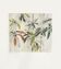 Anne walker jennie's plant gravure