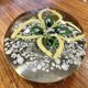 Sulphide - glass paperweight