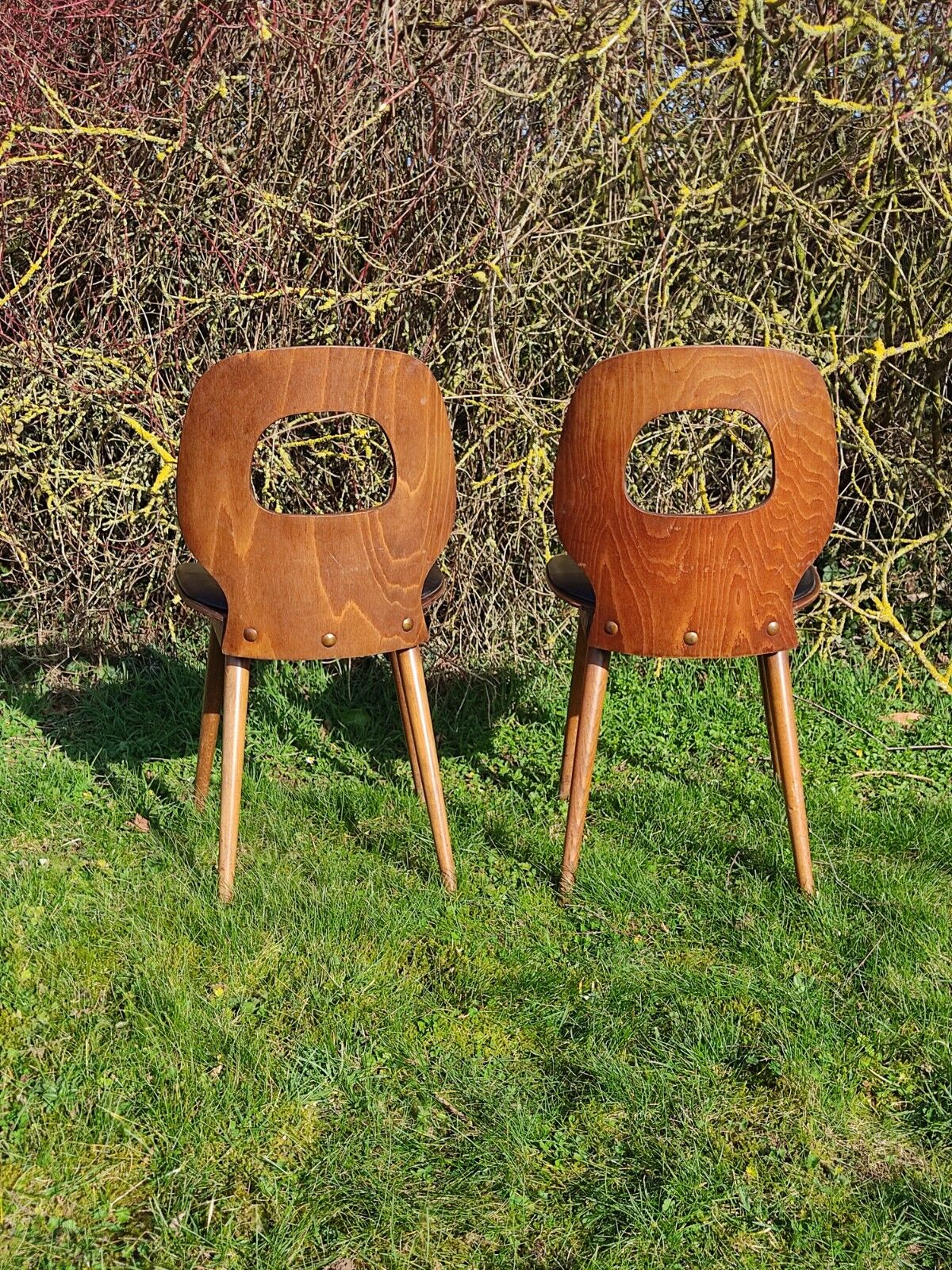 Baumann chairs x2 Ant model