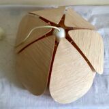 Suspension lotus flower petals