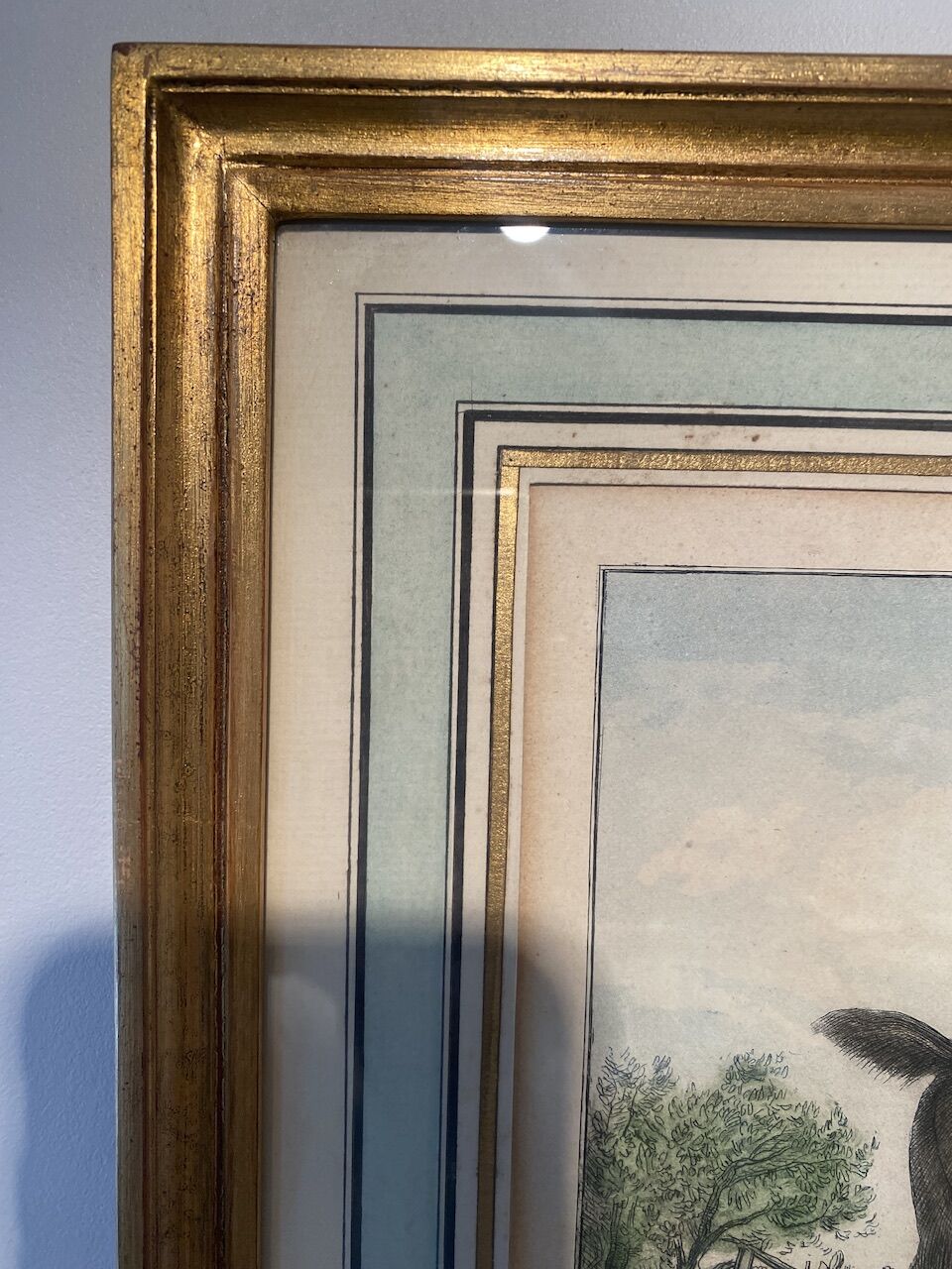 Antique engraving , the hunter to the discovery early XX century