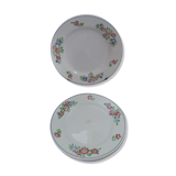 Set of Gien plates