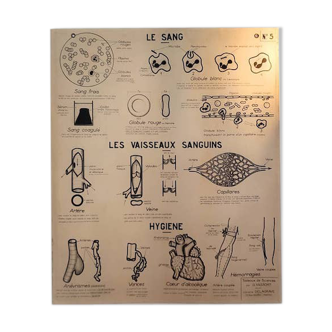 School map science table front/ back by G. VASSORT Bookstore DELAGRAVE