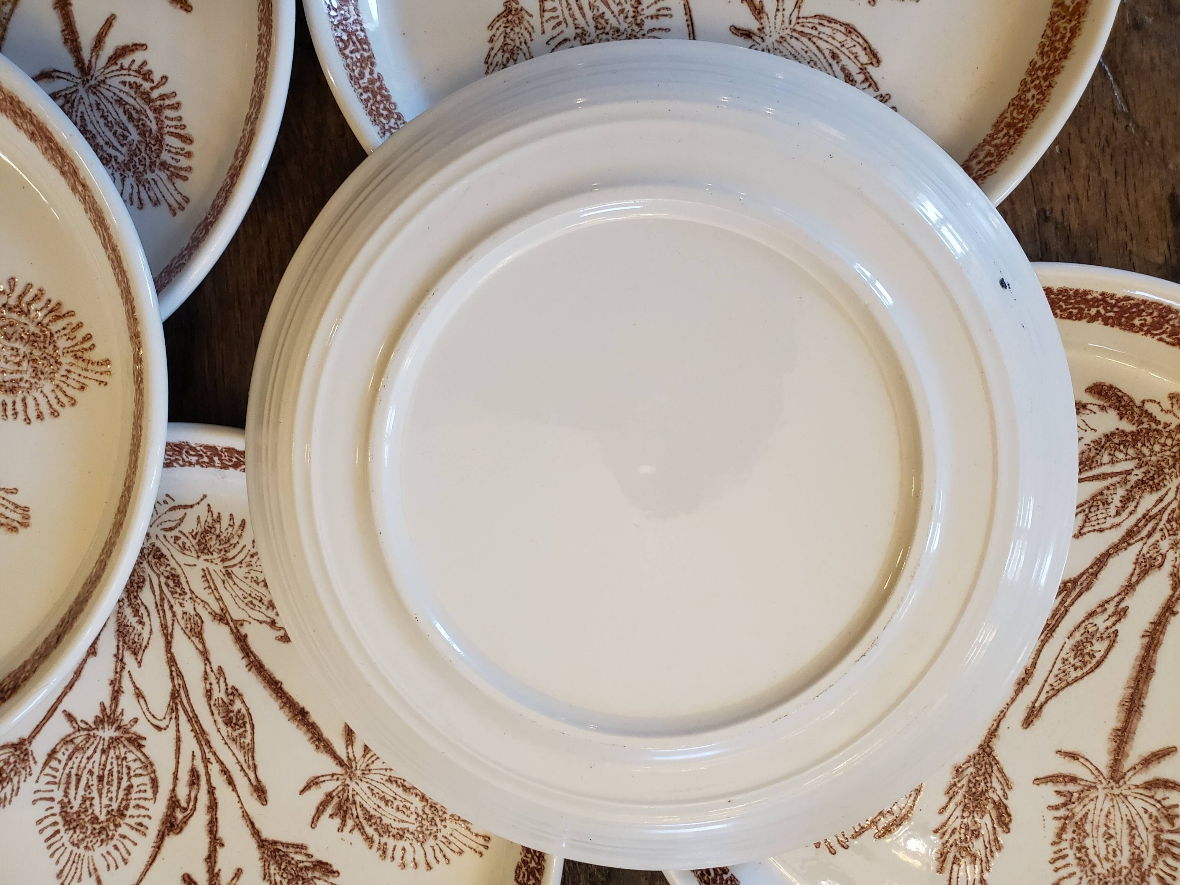 Ceramic plates thistles 70's