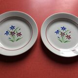 Set of 10 flat plates
