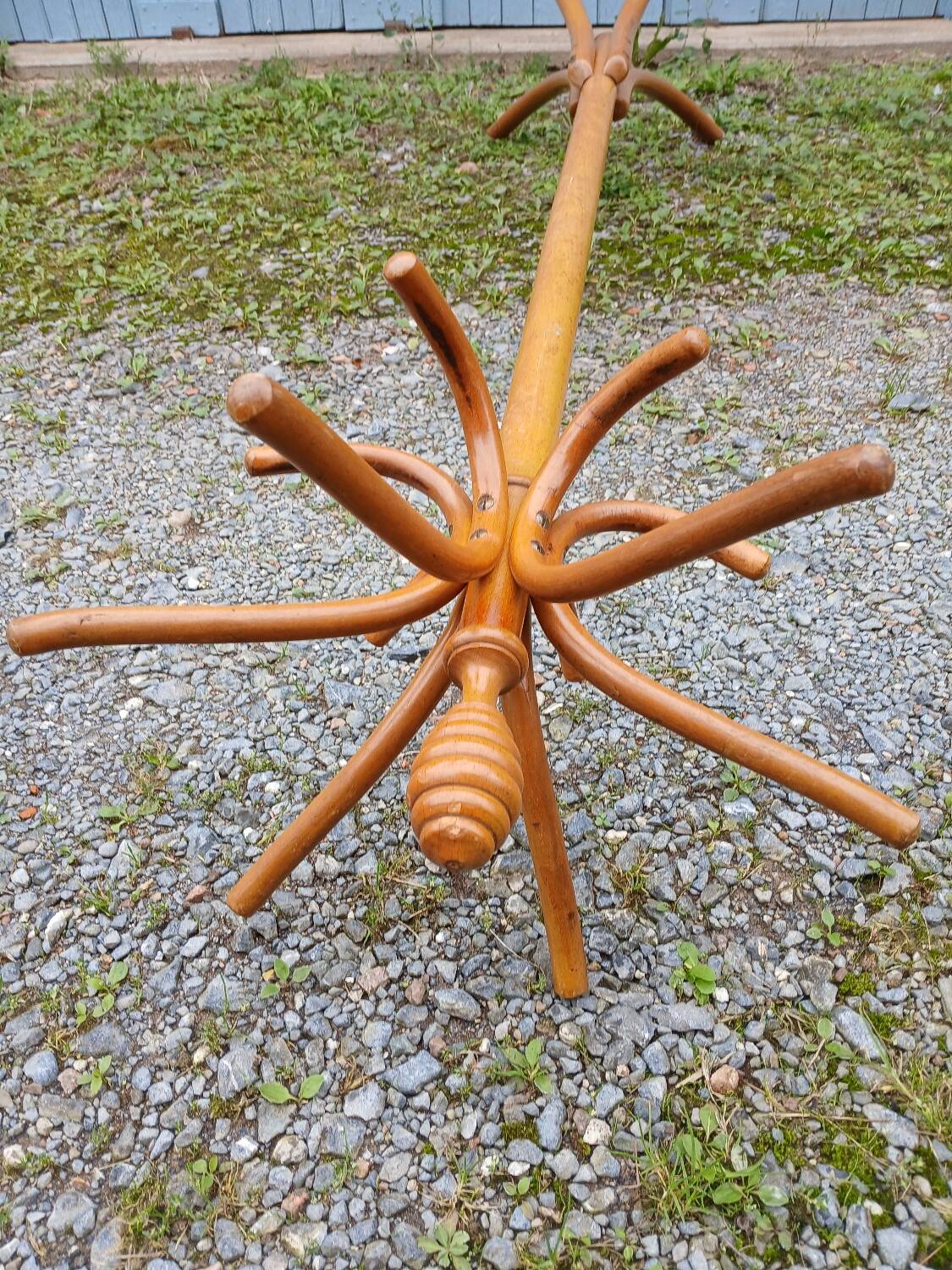 Antique parrot coat rack