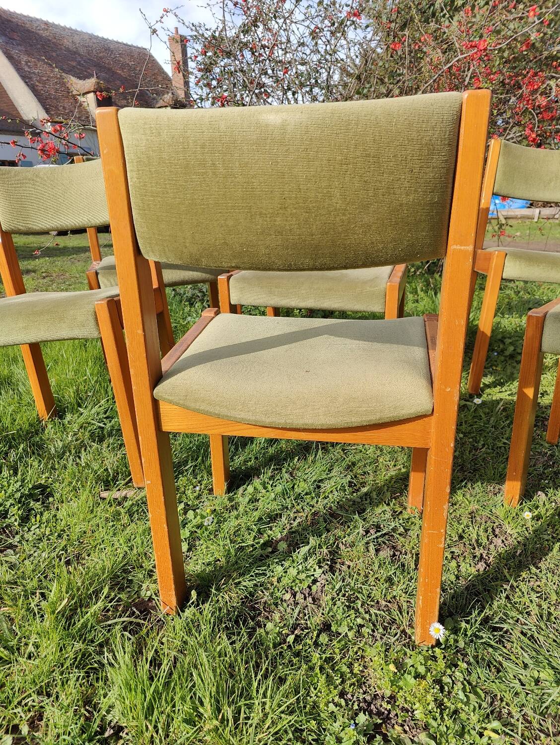 Set of 6 wooden chairs with velvet seat