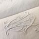 7 damask and monogrammed napkins