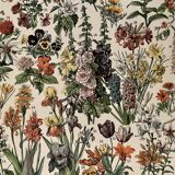 Lithograph on flowers from 1897 (amaranth)