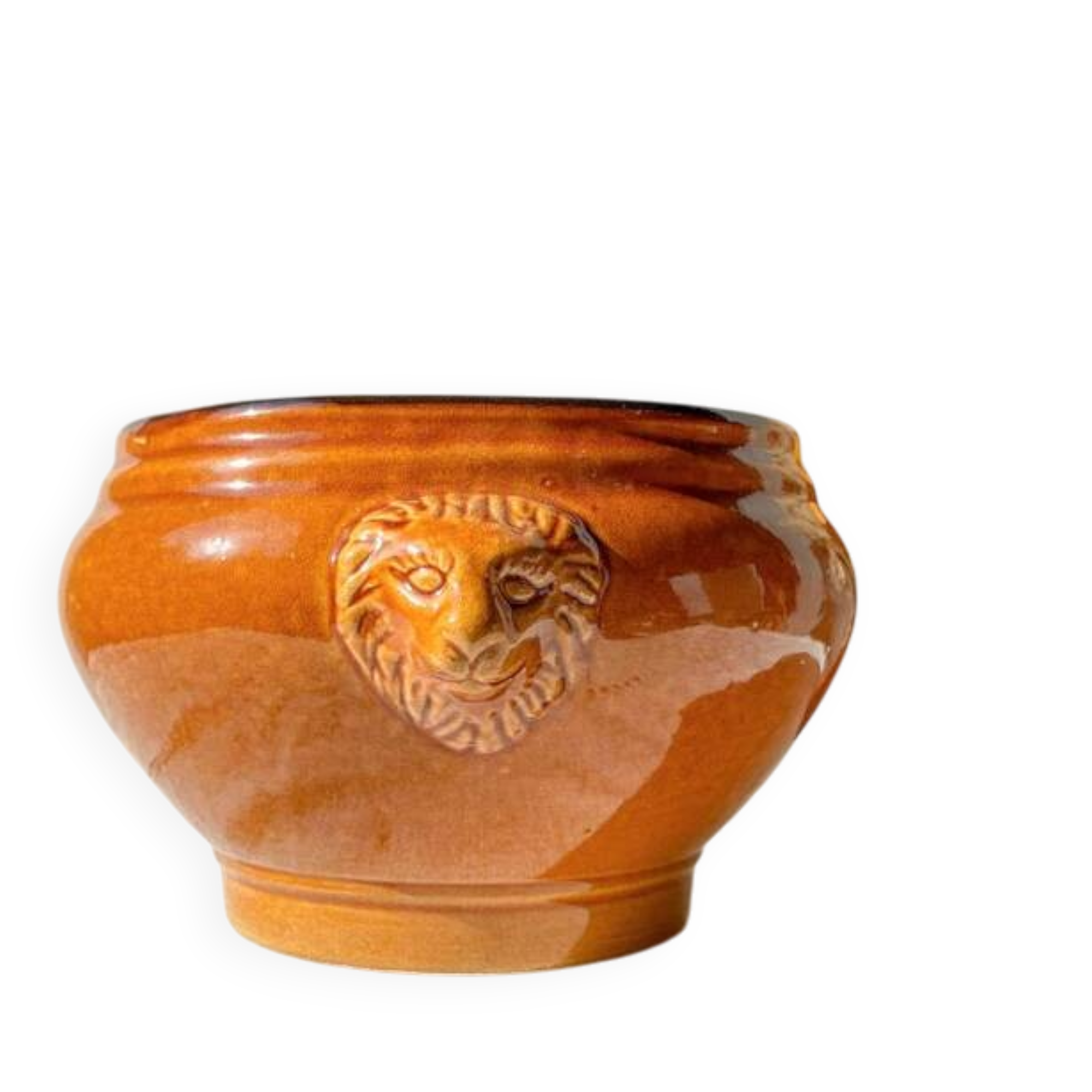 Vintage ceramic lion head soup tureen - honey and black, made in France.