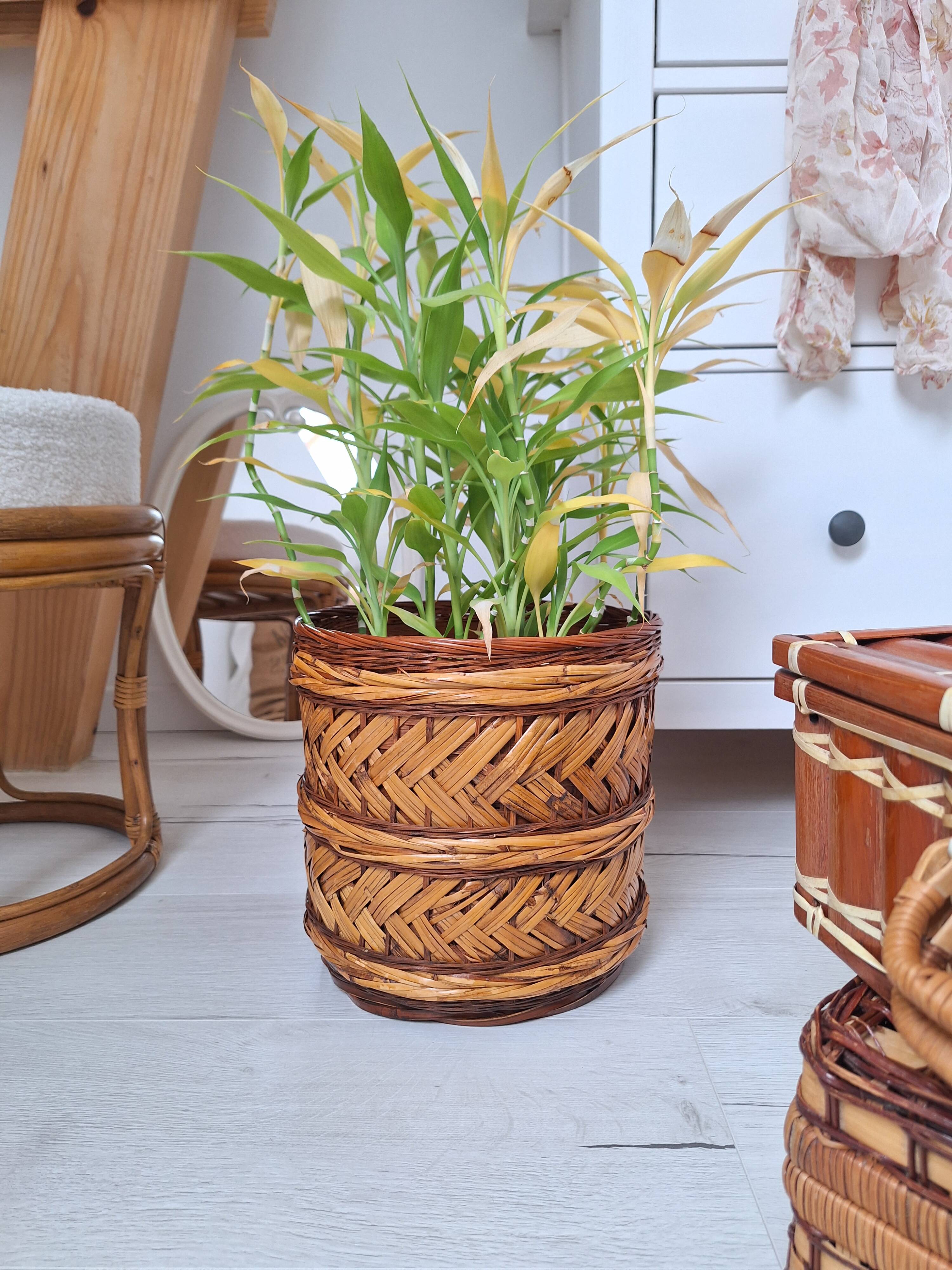 Wicker plant pot