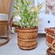 Wicker plant pot