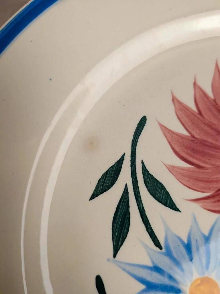 Set of 6 ironstone plates HBC – Rustic Model – Hand-painted floral design