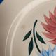 Set of 6 ironstone plates HBC – Rustic Model – Hand-painted floral design