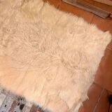 Animal skin rug