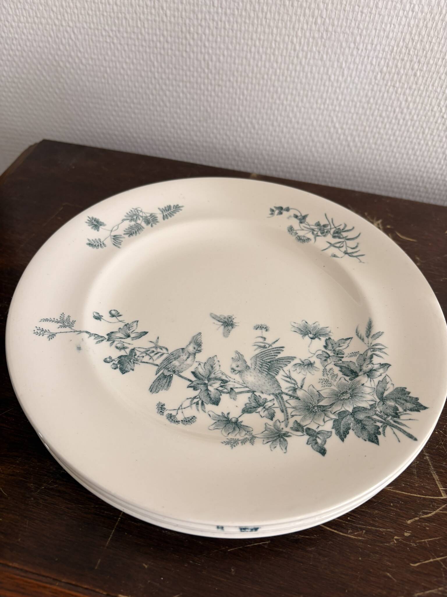 Lot 5 Plate Plates Faience Longwy Model Mignon