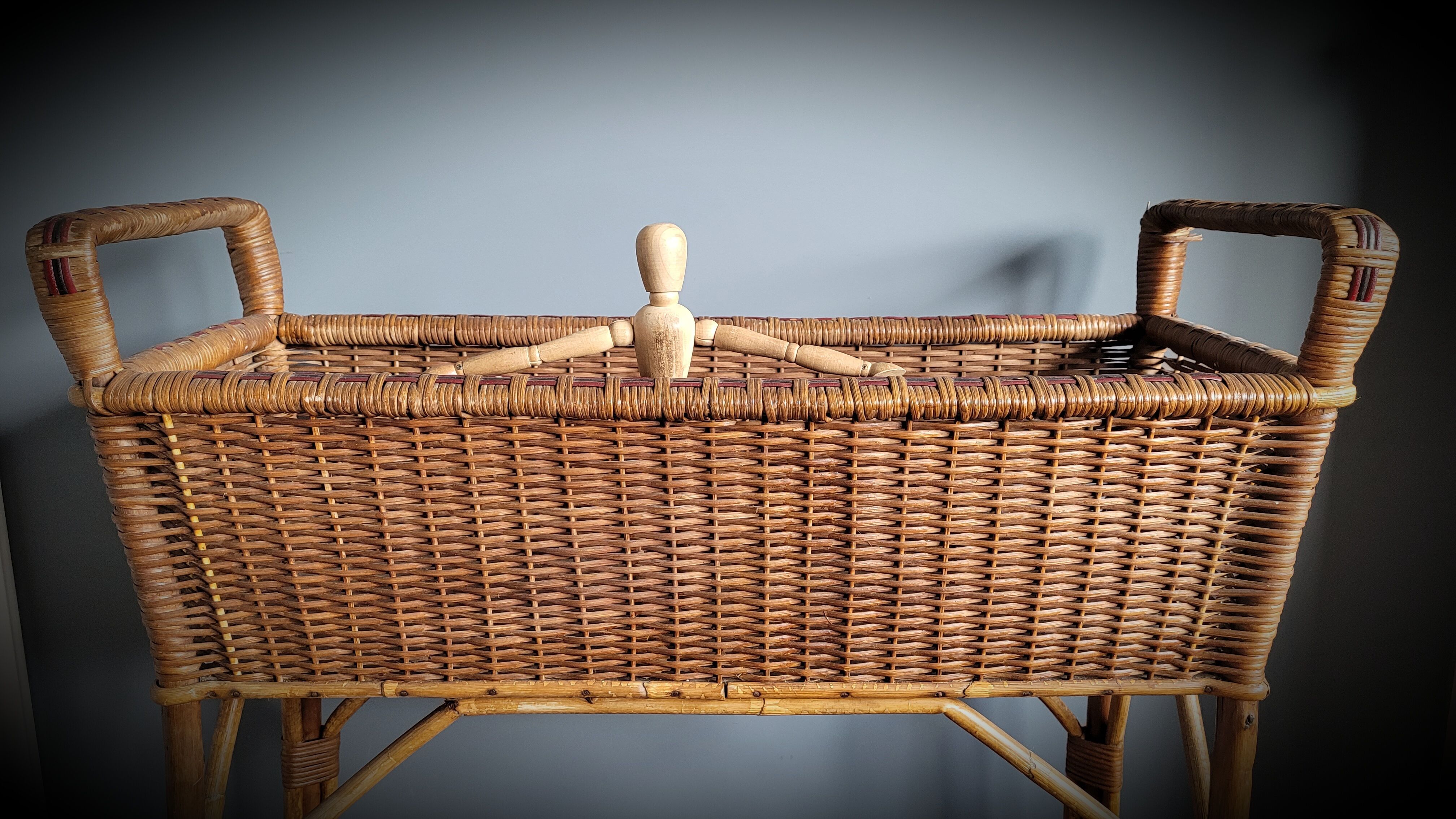 Planter door rattan plant