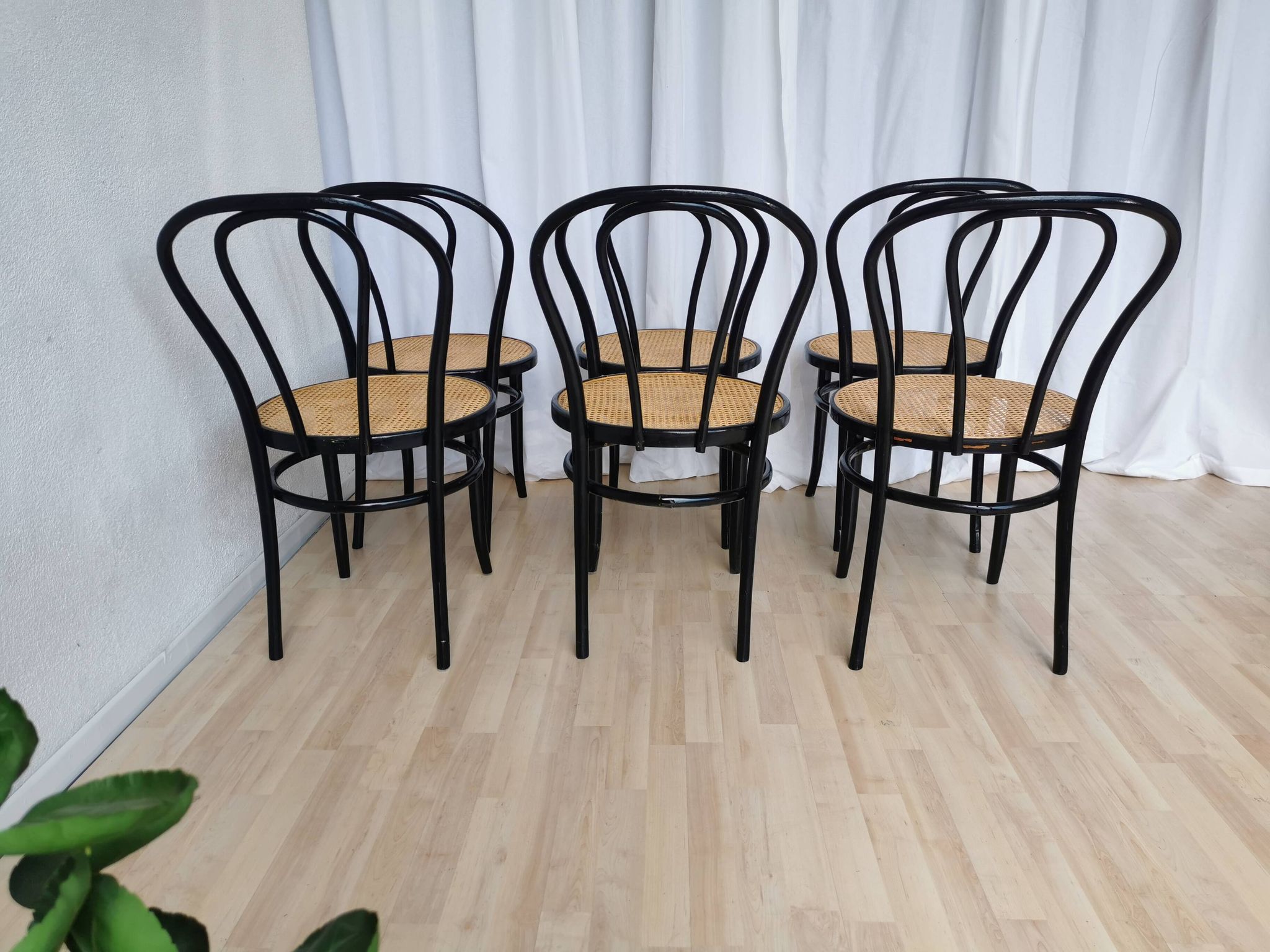 Set of 6 Vintage Thonet Style Dining Chairs: Black Bentwood Cane Seat