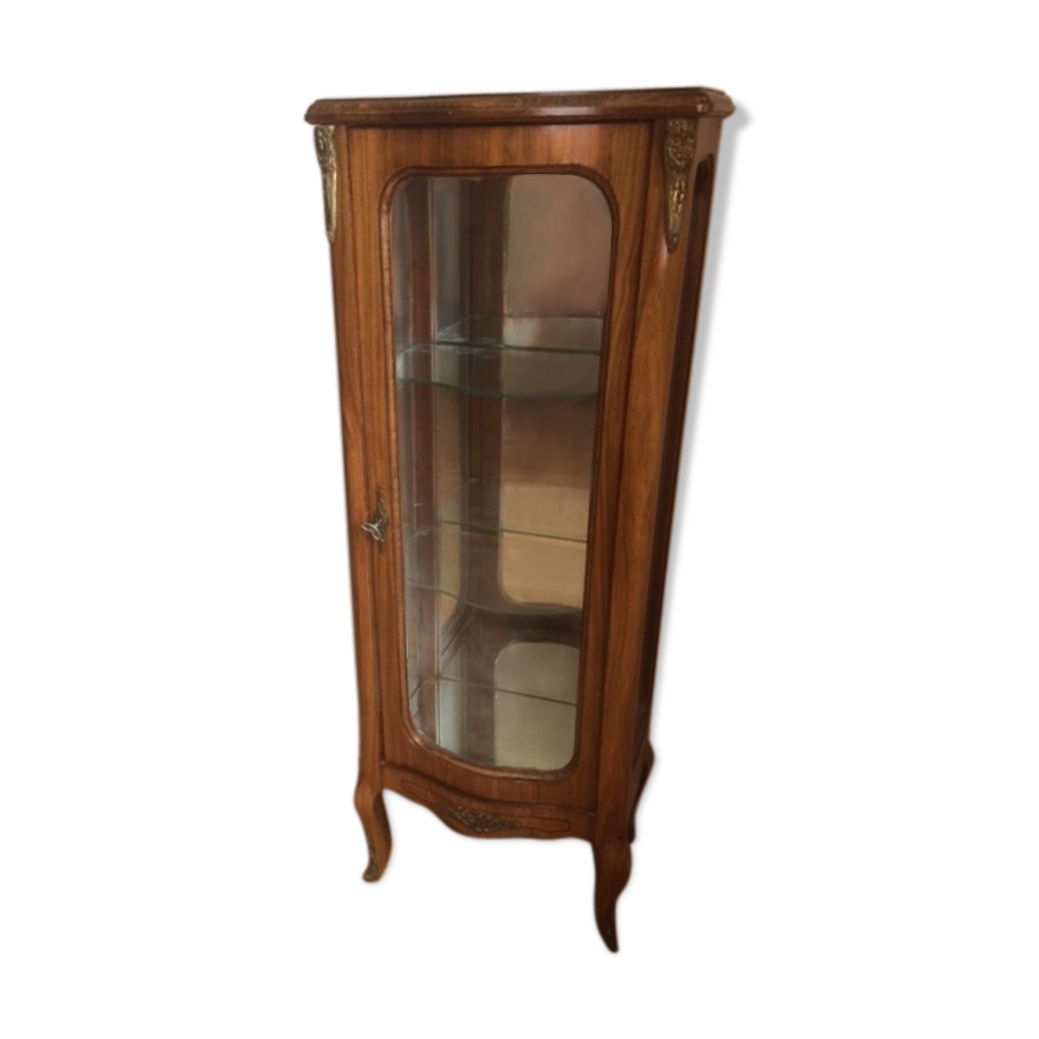 Glass domed showcase