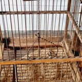 19th century bird cage in its original condition