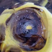 Yellow glass vase