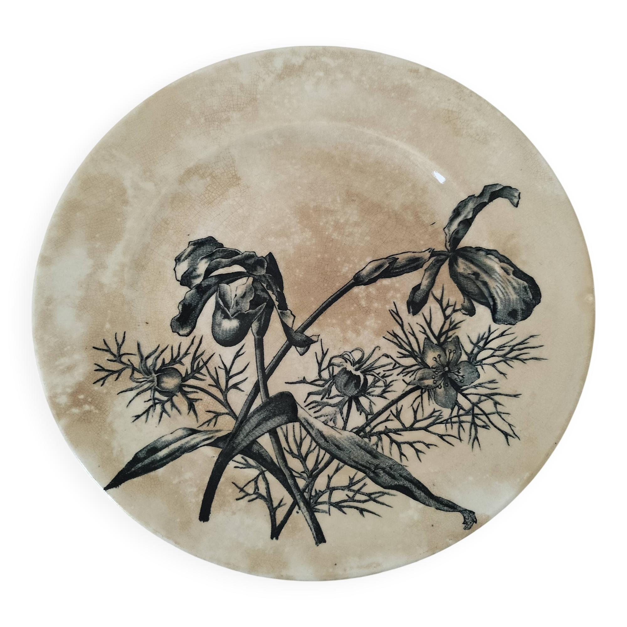 19th century pedestal plate Iron Earth