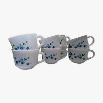 Set of 8 cups forget-me-not