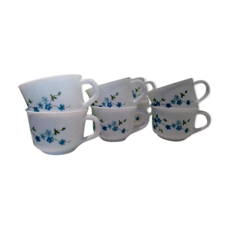 Set of 8 cups forget-me-not