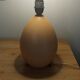 Vintage ostrich egg shaped lamp, Brussels porcelain