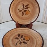 Set of 5 dessert plates in Salins stoneware 70s