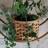 Bamboo and rattan plant holder or pot cover - 1970s