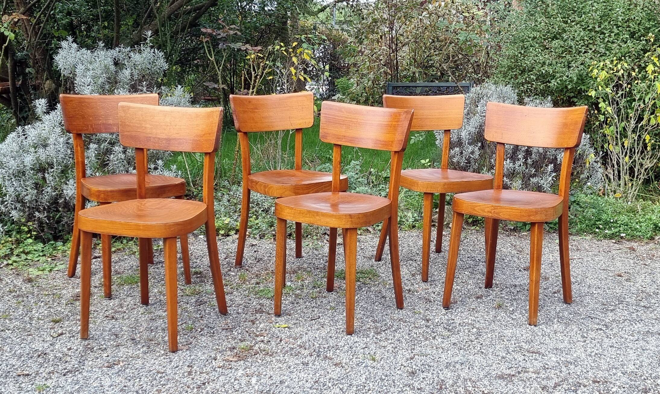 6 "classic" bistro chairs from Horgen-Glarus (Switzerland) 1950s
