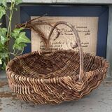 Foraging basket