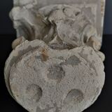 Architectural element plaster capital nineteenth century
