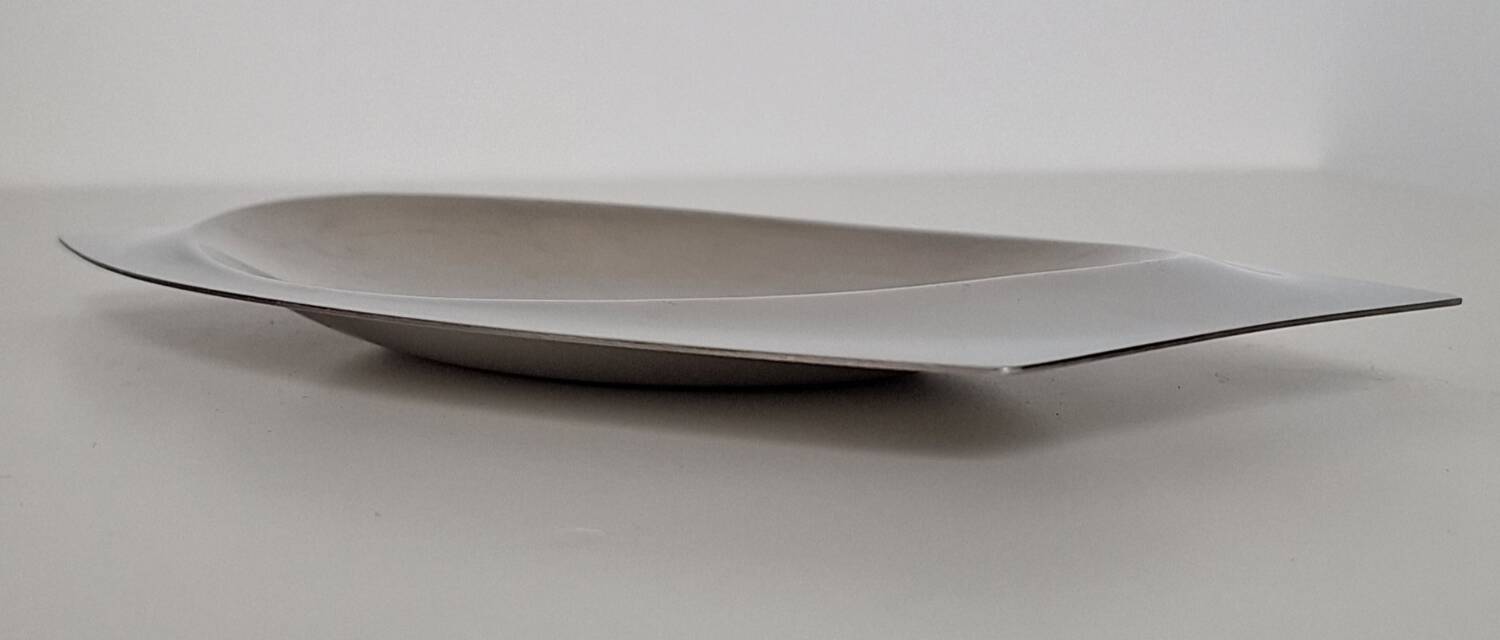 Letang Remy stainless steel dish