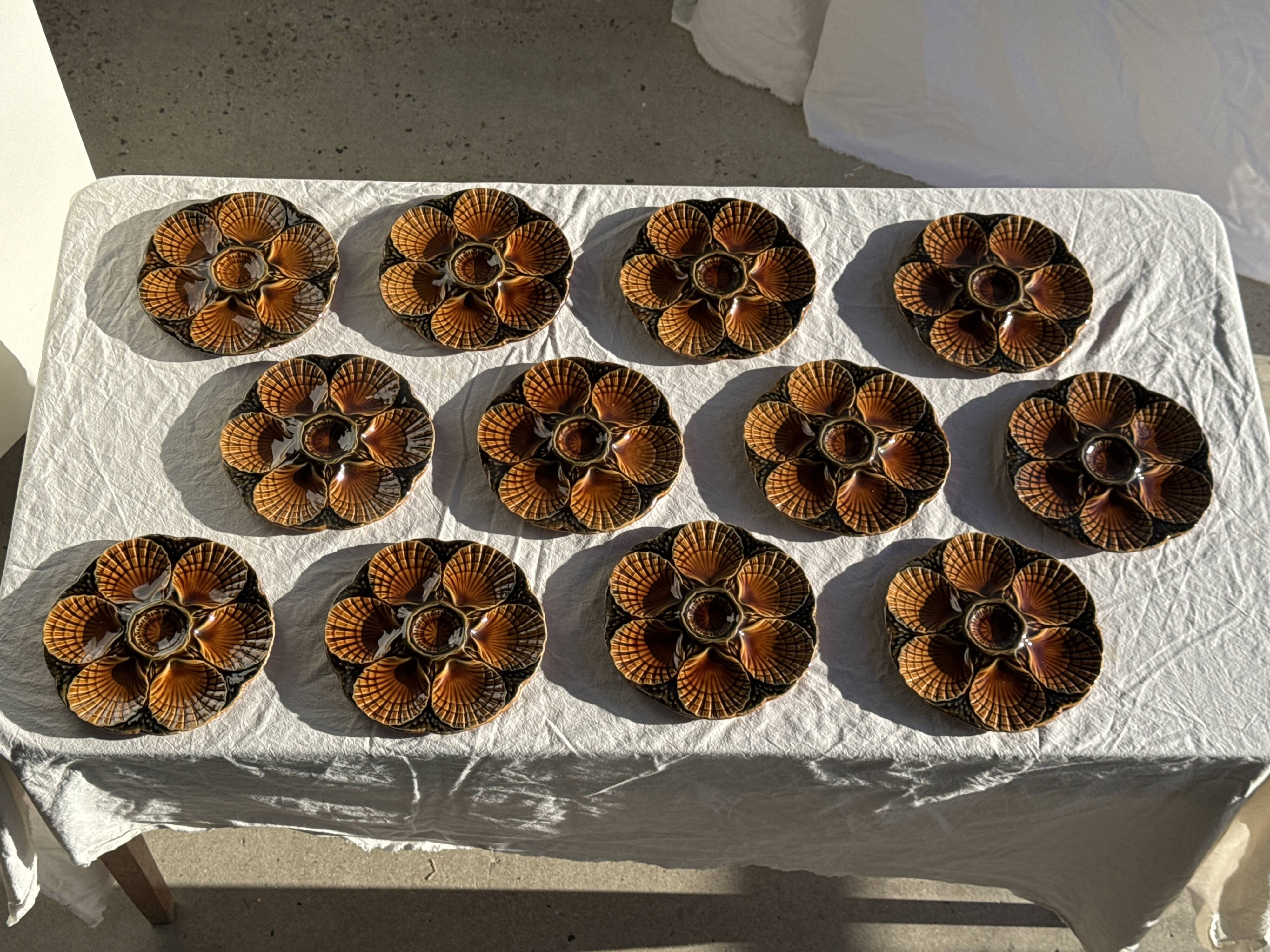 Set of 12 oyster or shell plates in glazed brown ceramic D