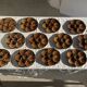 Set of 12 oyster or shell plates in glazed brown ceramic D
