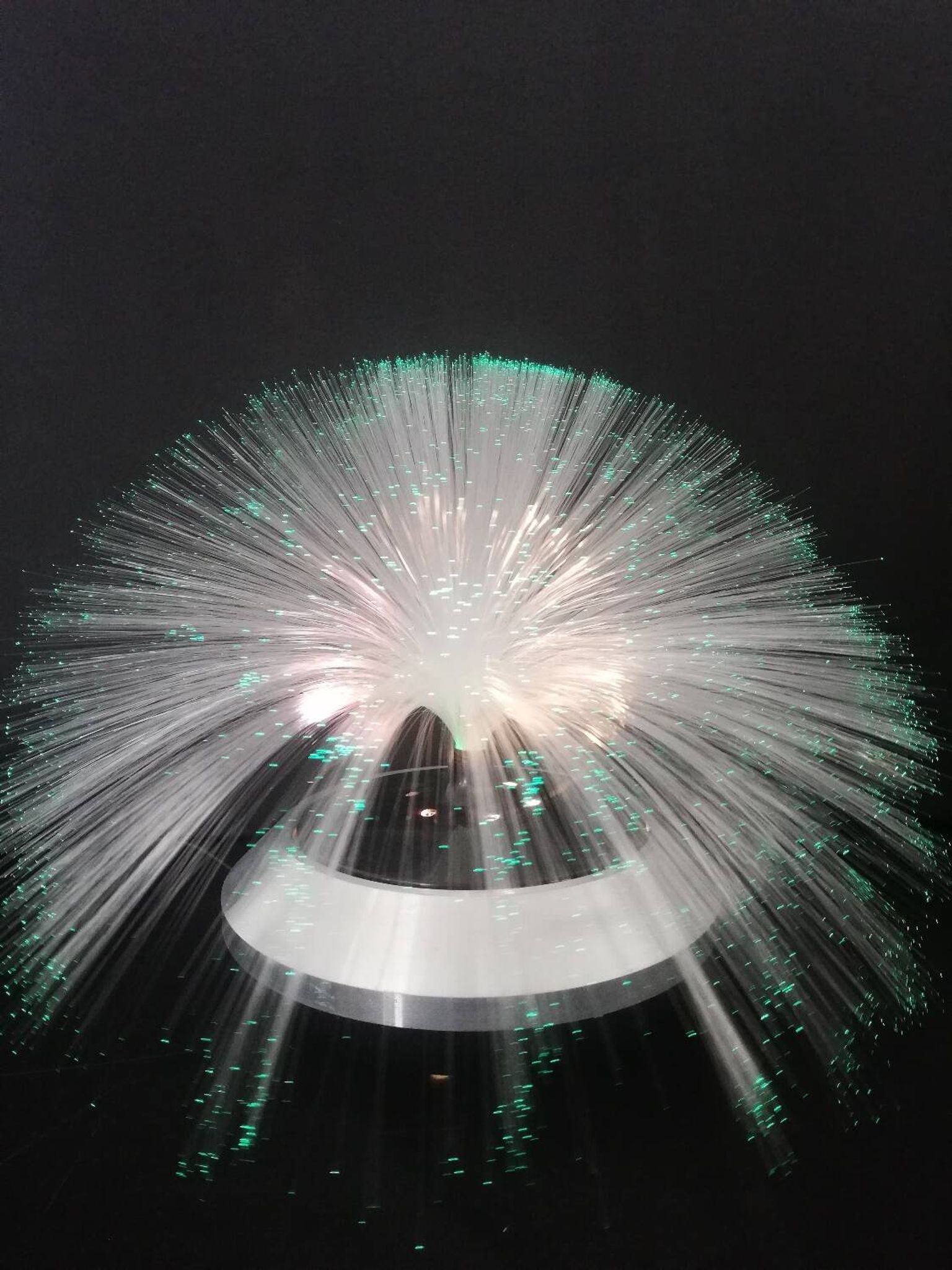Fiber optic lamp