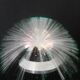 Fiber optic lamp