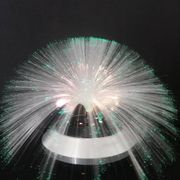 Fiber optic lamp