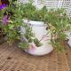 Pot cover decoration pastel flowers