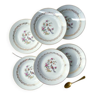 6 Assiettes creuses en porcelaine de Limoges motif oiseau de paradis