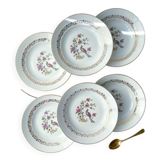 6 Limoges porcelain soup plates with bird of paradise motif