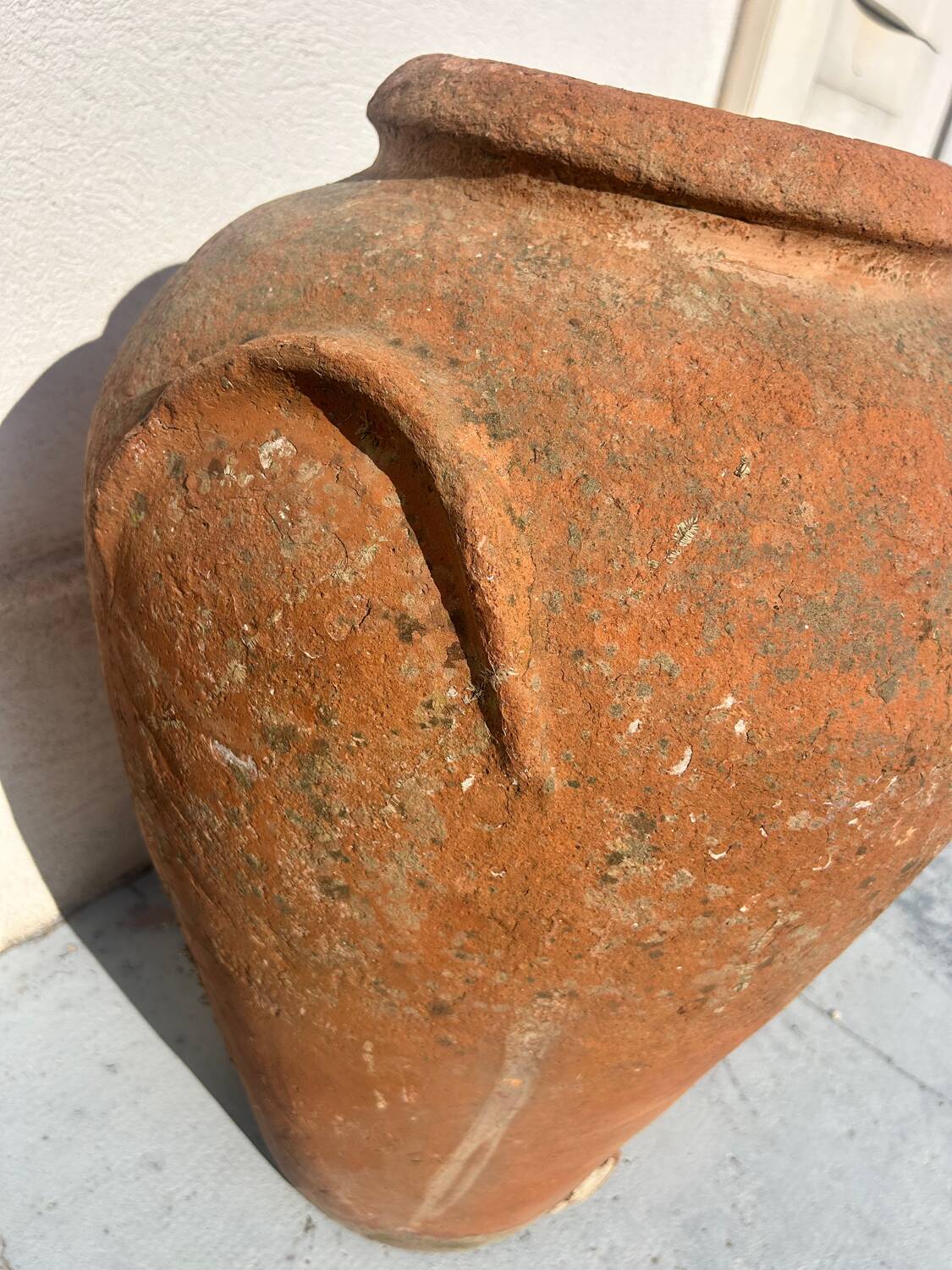 Ancient Tuscan olive oil jar