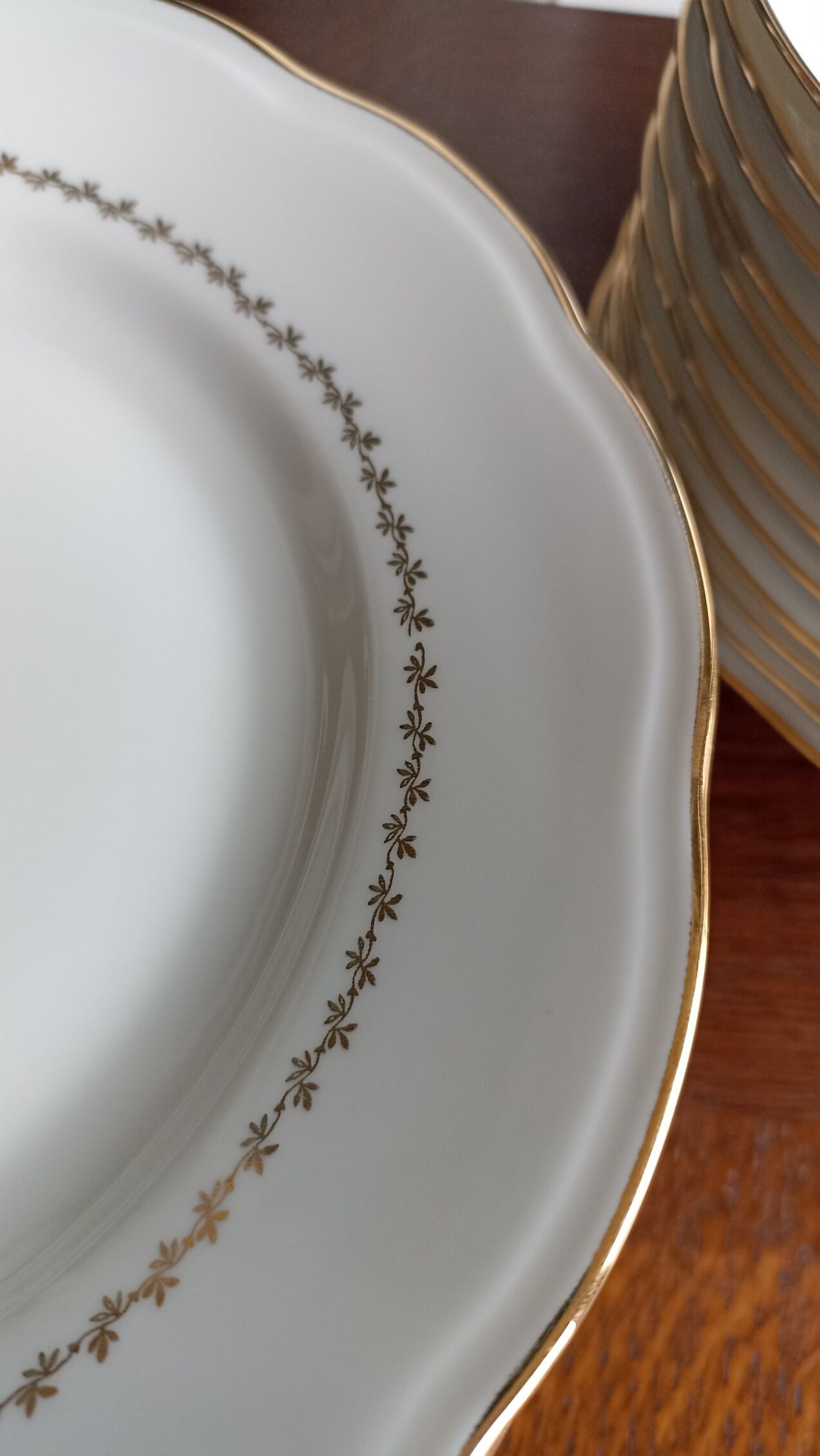 12 flat plates in SFP porcelain - White and Gold