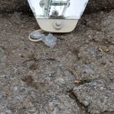Pair of Murano mirror wall lights from the 50s