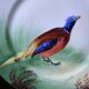 3 decorative porcelain plates from Limoges featuring partridges and pheasants.