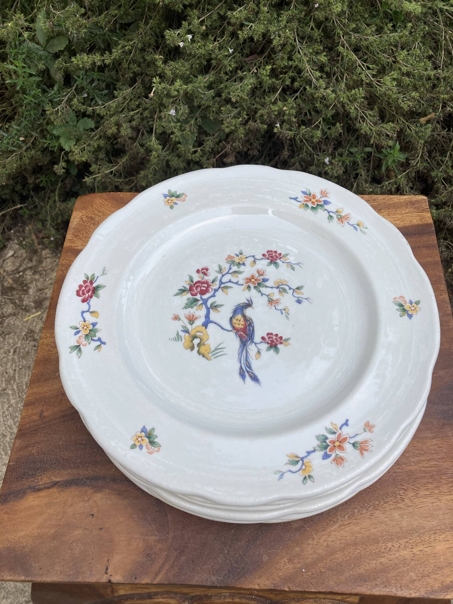 Flat plates with scalloped edges Sarreguemines bohemian chic